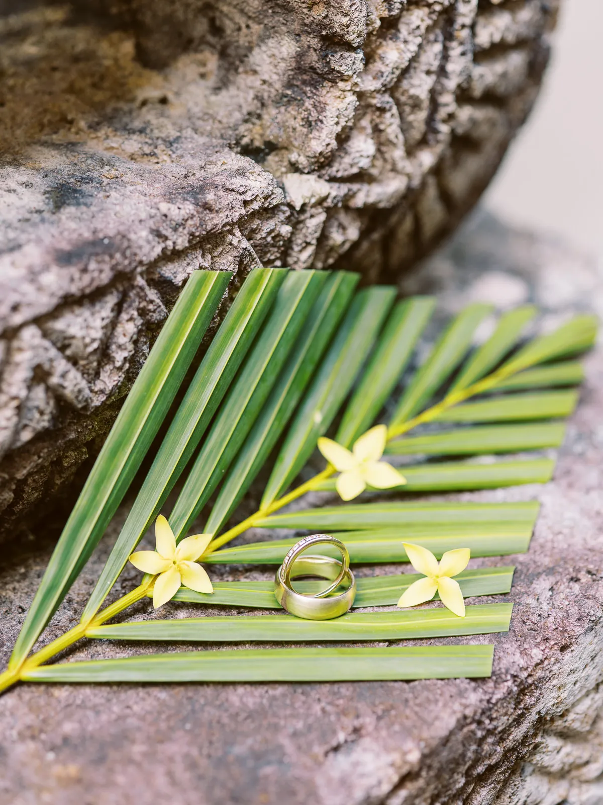 Gold wedding rings resting on a green palm leaf with small yellow flowers - detail shot by wedding photographer Lombok.