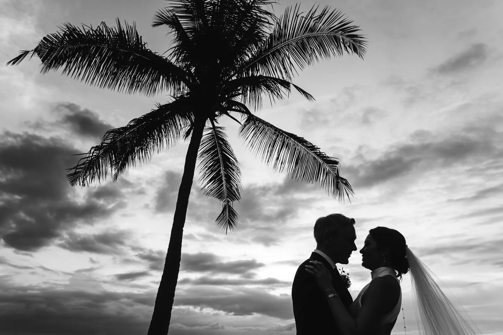 Black and white silhouette of bride and groom under a palm tree against a dramatic sky in Lombok - photo by wedding photographer Lombok.