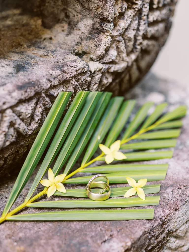 Elegant wedding rings on a palm leaf captured by a French wedding photographer in Provence.