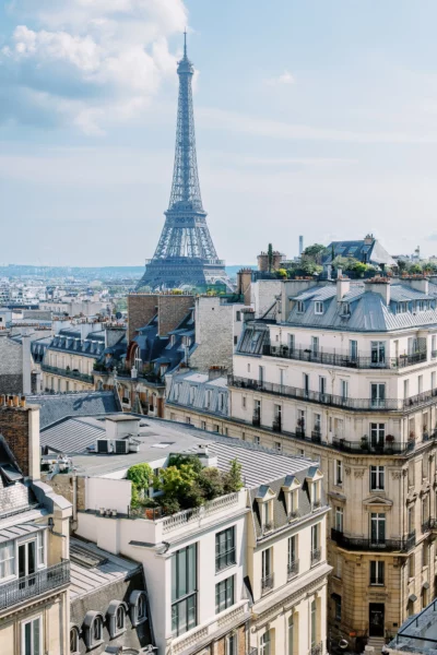 Parisian skyline with the Eiffel Tower and Haussmann rooftops by a French wedding photographer.